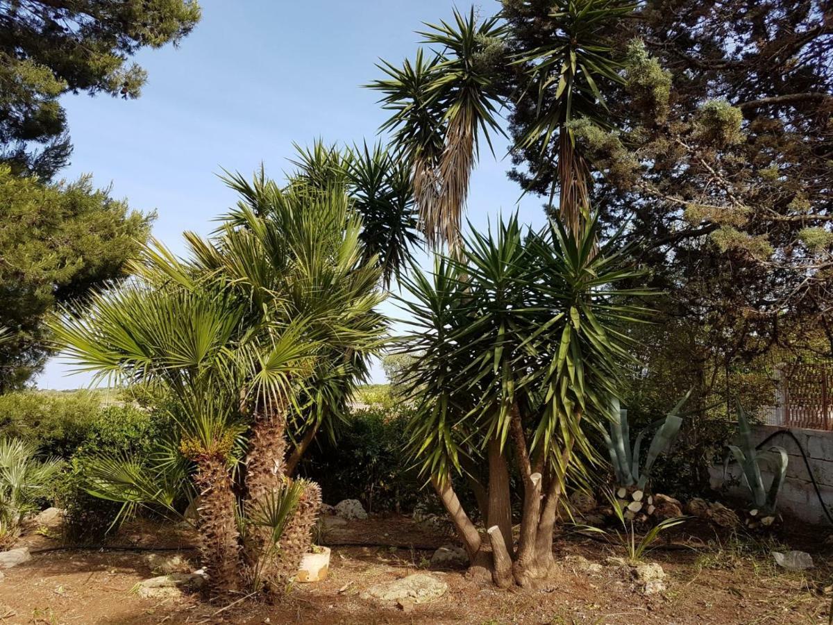 Villa Mina Carovigno Esterno foto